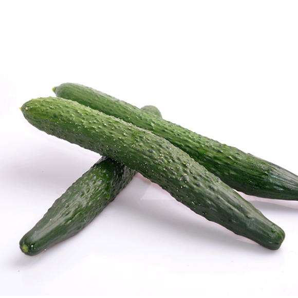 青（qīng）瓜_深圳市（shì）偉泰發餐飲管理有限公（gōng）司