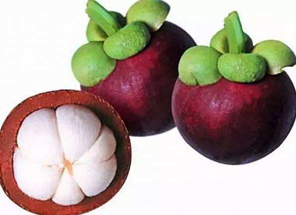 山竹_深圳市偉泰（tài）發餐飲管理（lǐ）有限公司