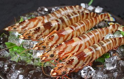 九（jiǔ）節蝦_深圳市偉泰發餐飲管理有限公（gōng）司