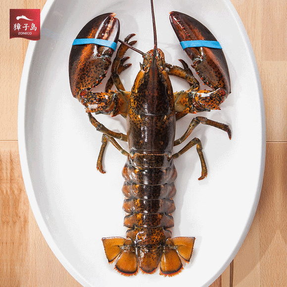 深圳市偉泰發餐飲管理有限公司-波斯頓龍蝦