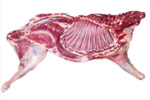 羊肉配送_深圳市偉泰（tài）發餐（cān）飲管理有限公司