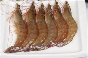 基圍蝦配（pèi）送_深圳市偉泰（tài）發餐飲管理有限（xiàn）公司