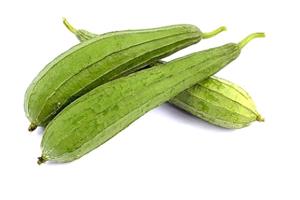 肉（ròu）絲瓜_深圳市偉泰發（fā）餐飲（yǐn）管理有限公司