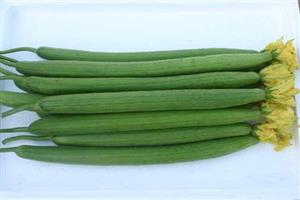 帶花水瓜_深圳市偉泰發餐（cān）飲管理有限公（gōng）司