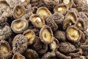 幹香菇_深圳市偉泰發餐飲管理有（yǒu）限公司