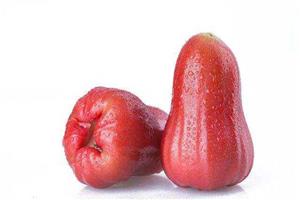 蓮霧_深圳市偉泰發（fā）餐飲管理有限公司