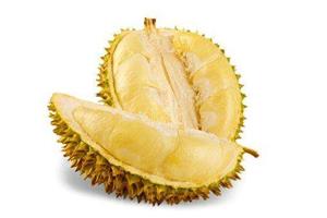 榴蓮_深圳市（shì）偉泰發餐飲管（guǎn）理有限公司