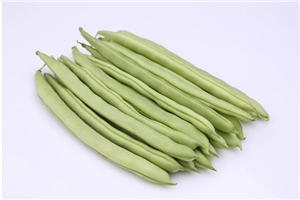 四季豆_深（shēn）圳市偉泰發餐飲管理有限公司