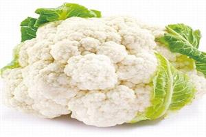 白花菜_深圳市偉泰發餐飲管理有限公司