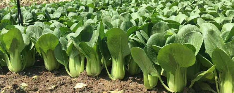 9e60c4d6e62cf937e926ef985b59e907 (1).jpg