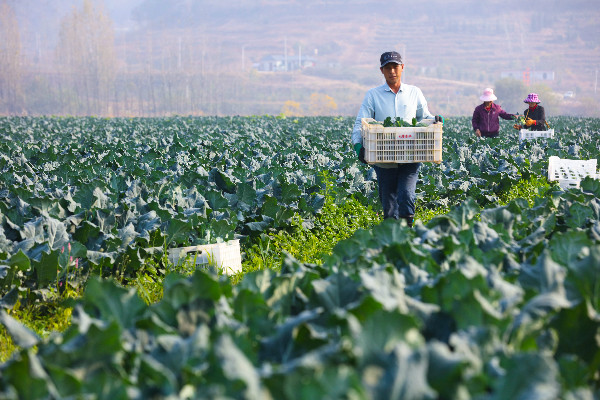 3fd3f35dbd0ad54c1375b8a9b8c4fb04.jpg 3fd3f35dbd0ad54c1375b8a9b8c4fb04.jpg