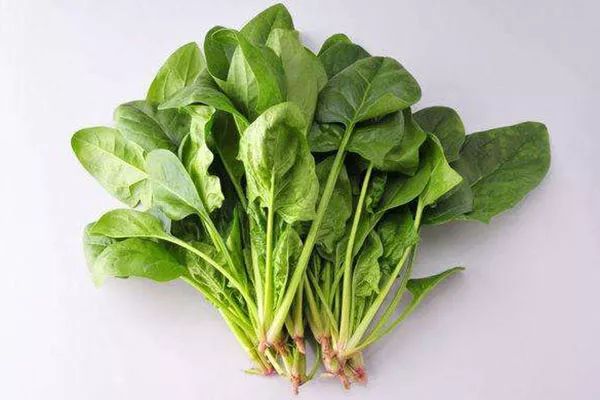 2f4fe7fad5042ab9cb5abeeb72b7c972.jpg 2f4fe7fad5042ab9cb5abeeb72b7c972.jpg