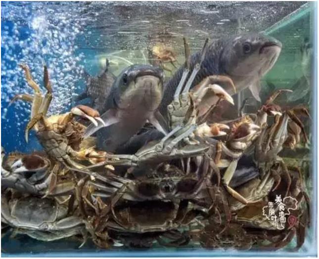 微(wēi)信截(jié)圖_20230614094010.jpg 微(wēi)信截圖_20230614094010.jpg