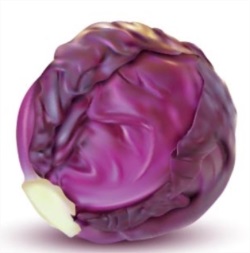 紫甘藍_深圳市偉泰發餐飲管理有限（xiàn）公（gōng）司