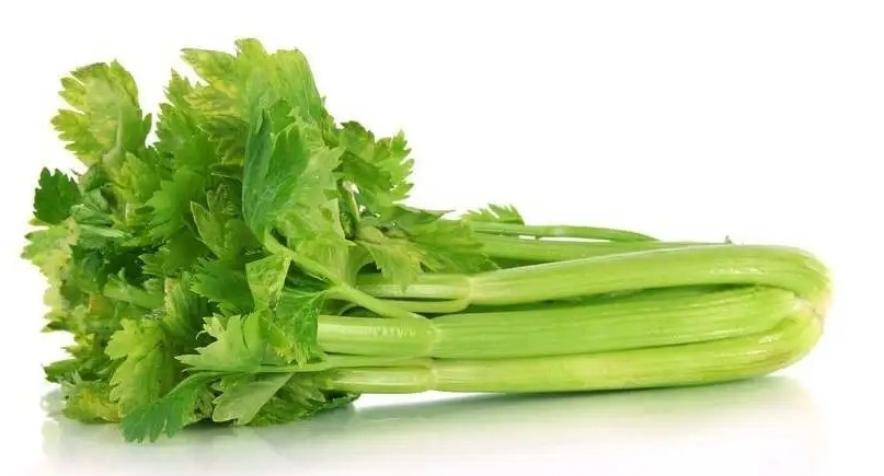 送菜公司分享如何正確（què）挑選西芹
