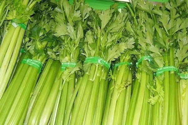 東莞農產(chǎn)品配送分享怎樣挑選(xuǎn)新鮮的西芹