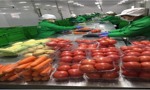 食材農產品配送怎麽確保時效性