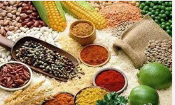 深圳送菜為您分享食用（yòng）五穀雜（zá）糧的益（yì）處